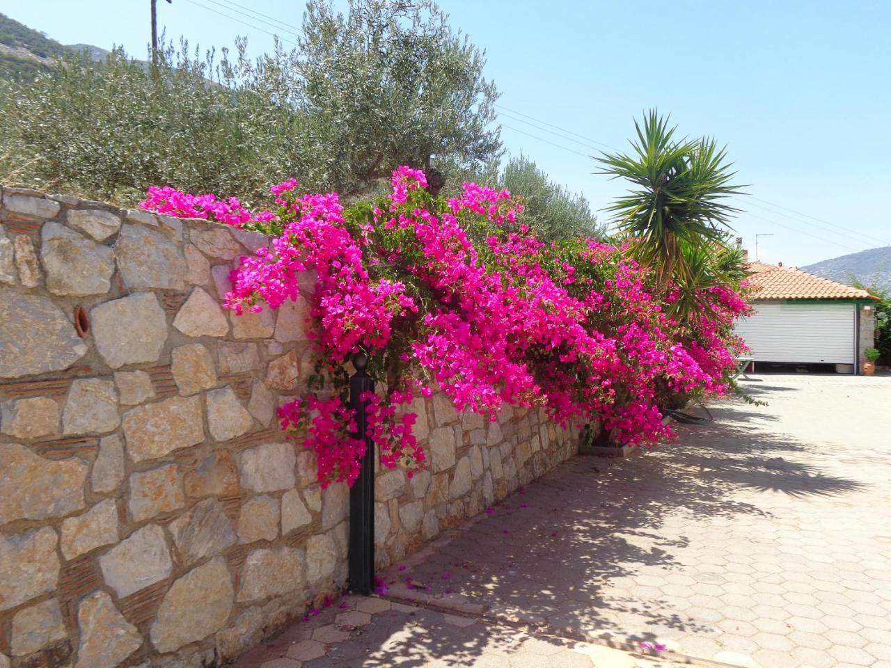 Villa Bamour With Paradise View Epidaurus Exterior photo